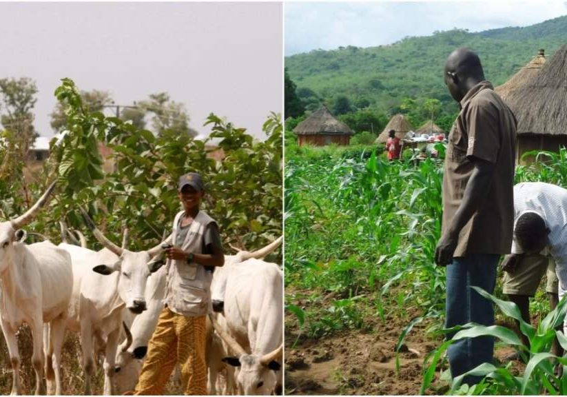rewrite this title Farmers, herders crisis: Jigawa govt inaugurates peace, rewrite this title Farmers, herders crisis: Jigawa govt inaugurates peace,