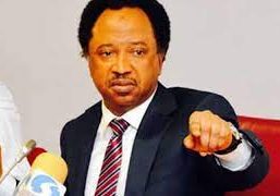 shehu sani shehu sani