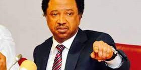 shehu sani shehu sani
