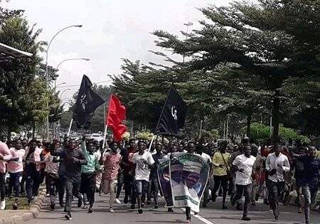 shiites shiites