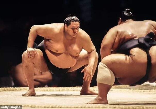 sumo