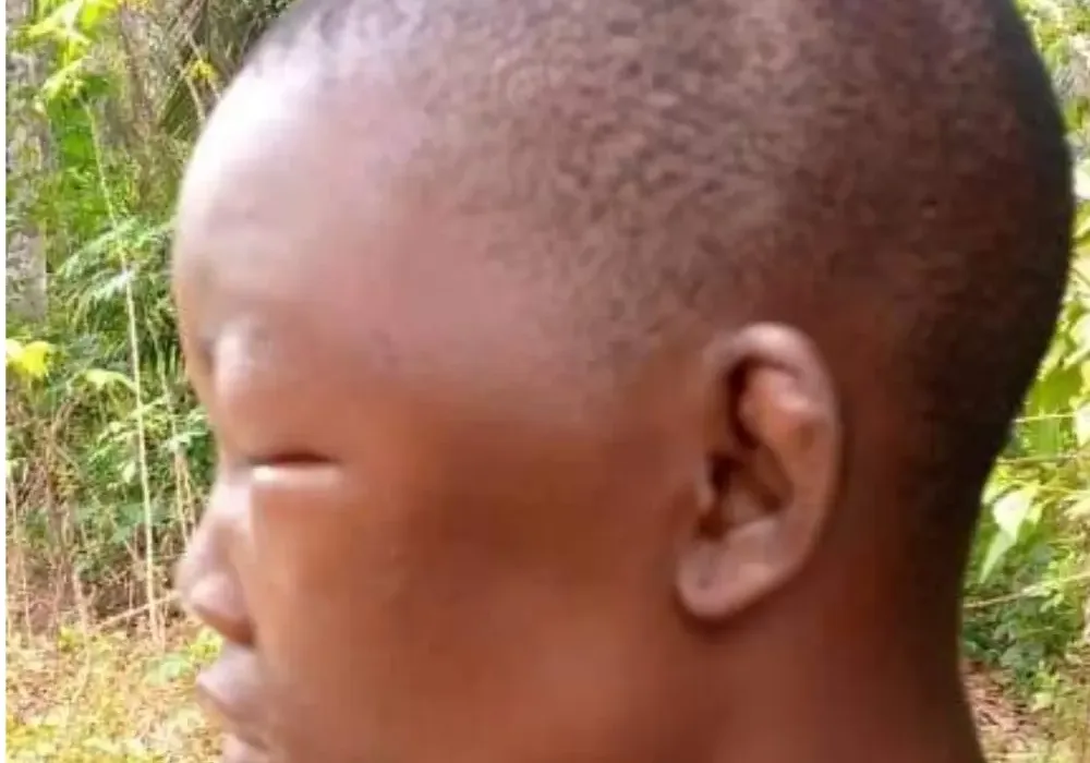 victim of domestic abuse victim of domestic abuse