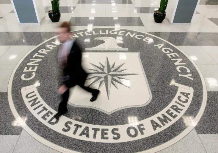wikileaks wikileaks