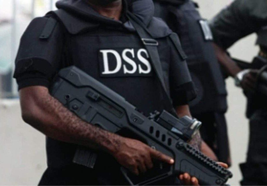 37281 breaking dss confirms plot to create interim government in nigeria identifies key players