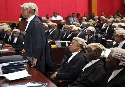 64831 apm to call single witness in tribunal petition proceedings