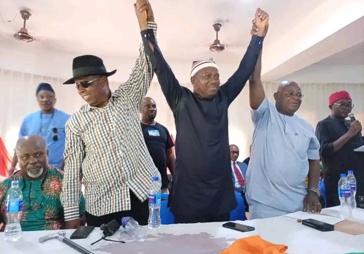 ADC elects new executives in Abia, promises to reconcile aggrieved members