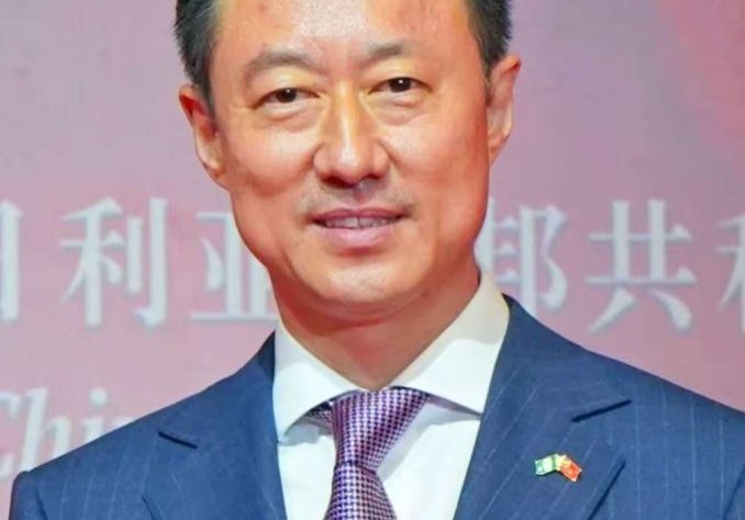 Green energy: China seeks deeper climate partnership with Nigeria