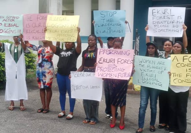 Women raise alarm, allege illegal loggers, armed men take over of Ekuri forests