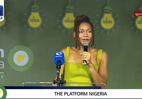 [VIDEO] Enterprise, Business Only Way To Develop Nigeria, Africa — Reel Fruit CEO • Channels Television