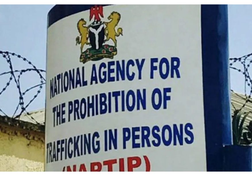 NAPTIP, Taraba govt reunite 10 trafficked children with families