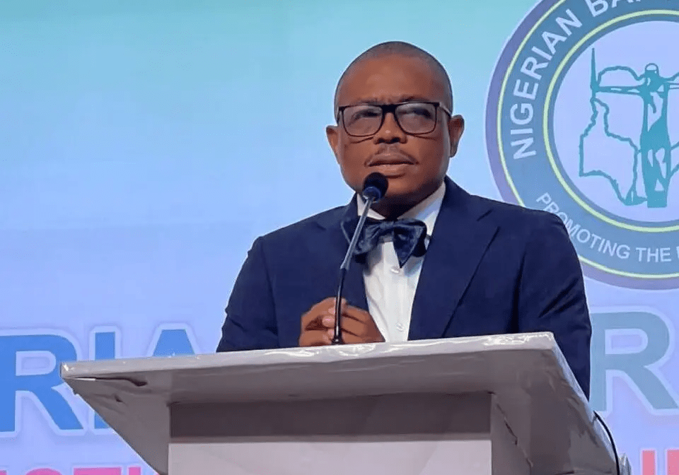 NBA warns lawyers, judges against interference in party affairs — Daily Nigerian