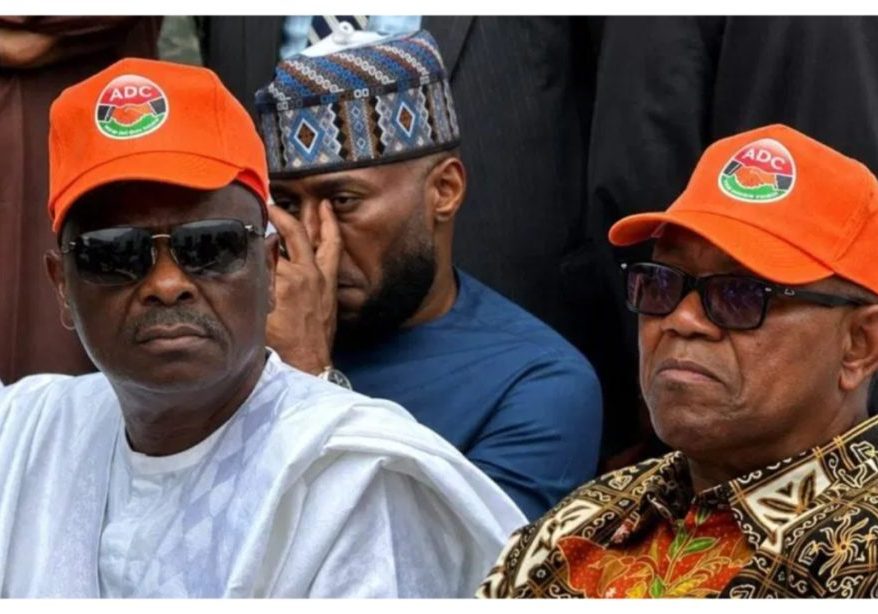 Peter Obi, Kwankwaso defection still under probability - NDC