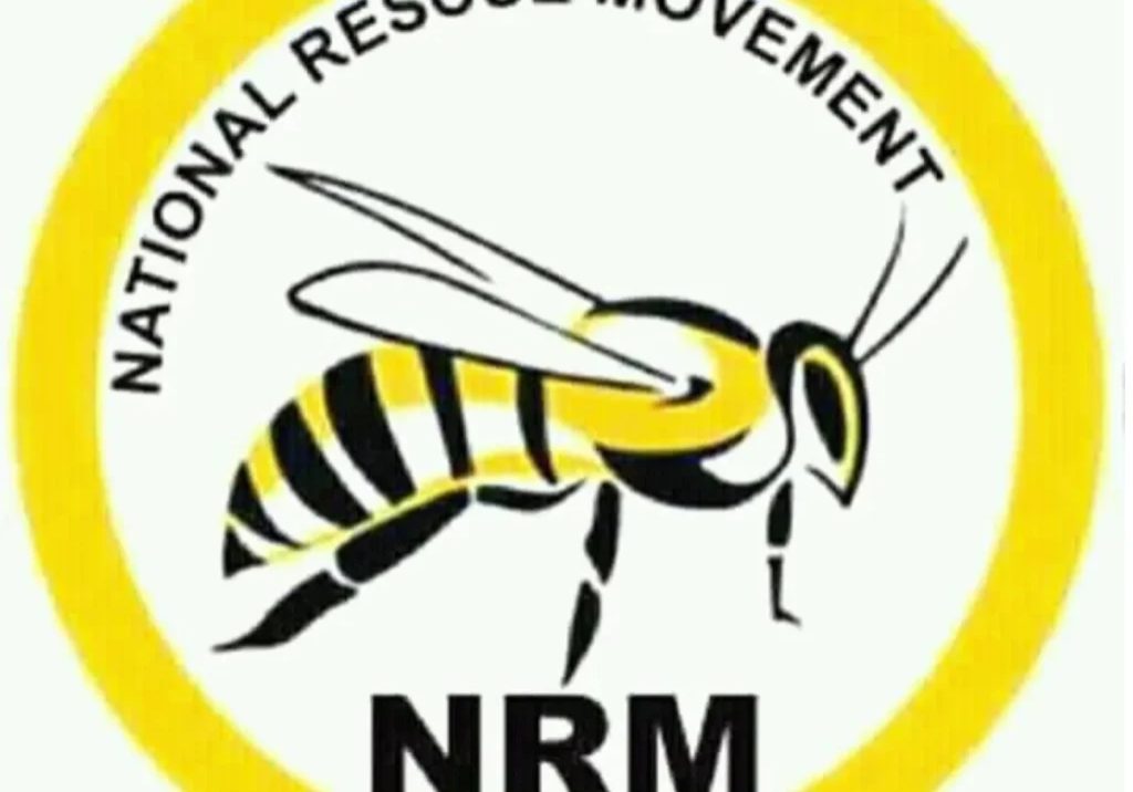 2027: We'll field presidential candidate, not merging with any party - NRM