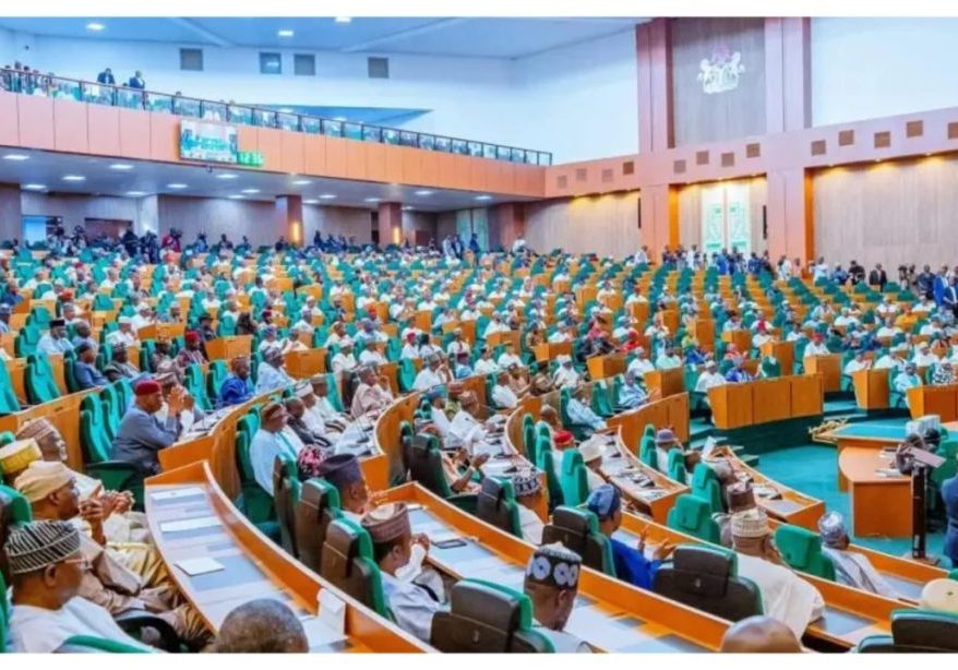 2027: Opinion divided as Reps 'cage politicians' ahead of party primaries