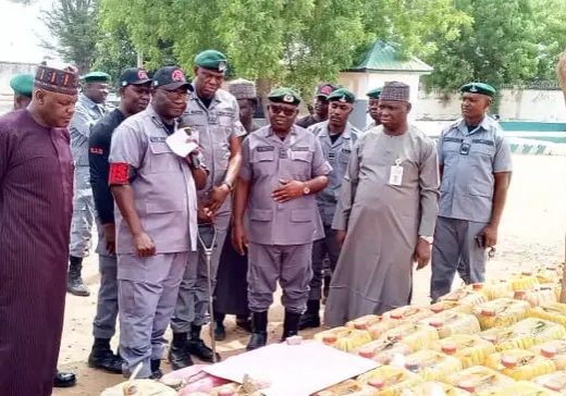 Nigerian Customs seizes N93m worth of petrol in Adamawa  — Daily Nigerian