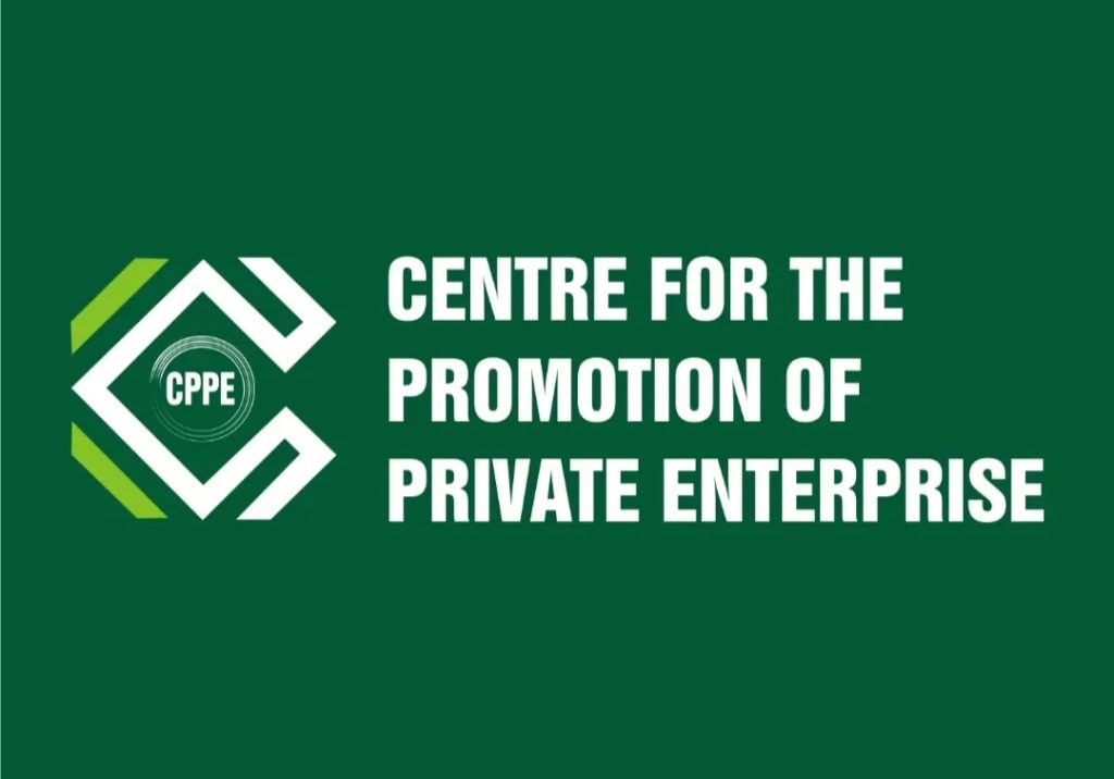 Why Nigeria's new tax law may not succeed - CPPE