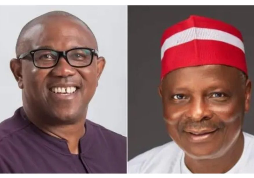 Kwankwaso has agreed to be Peter Obi's running mate - Ibrahim Abdulkarim