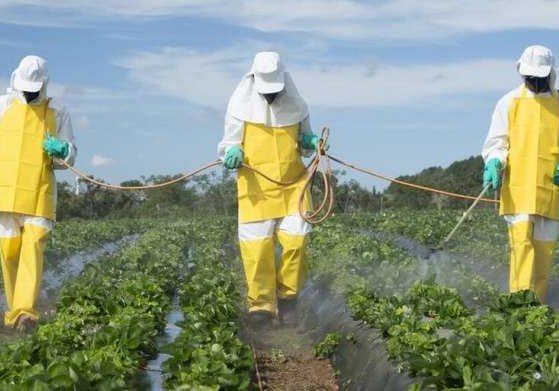 Pesticides.fw