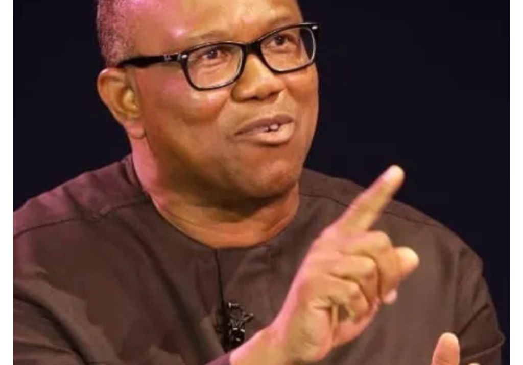 ADC: Why I joined Atiku, Kwankwaso, others to protest against INEC - Peter Obi