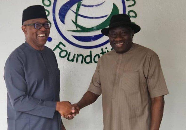 2027: Why we visited Jonathan - Peter Obi