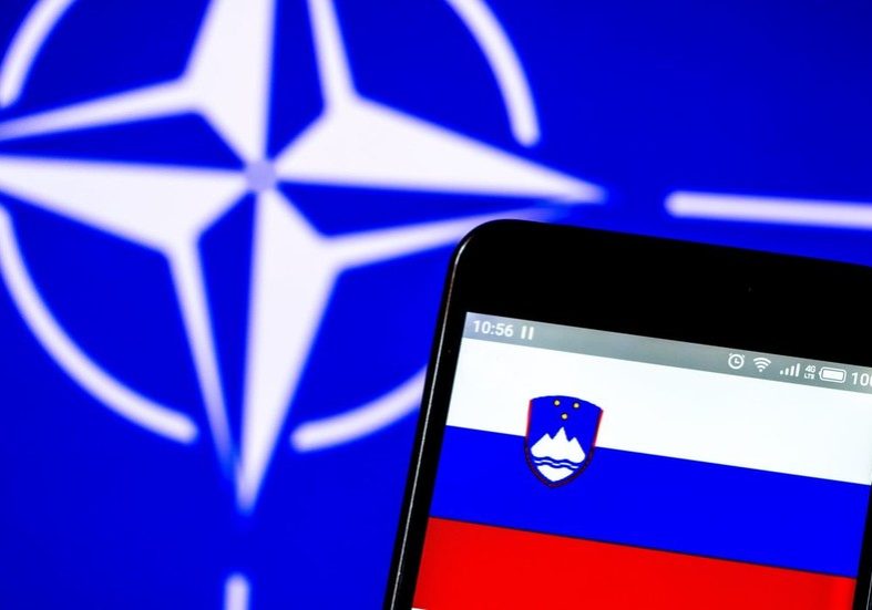 NATO member planning exit vote — RT World News