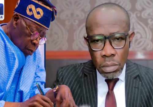 Tinubu’s $6.9bn Loan Is A Means For Poverty Alleviation, Says Economist • Channels Television