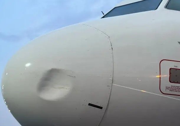 United Nigeria Air withdraws airbus after sixth bird strike hits company — Daily Nigerian