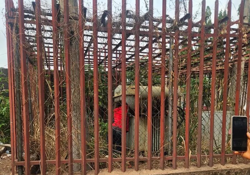 Suspected vandal electrocuted at DisCo substation in Enugu — Daily Nigerian