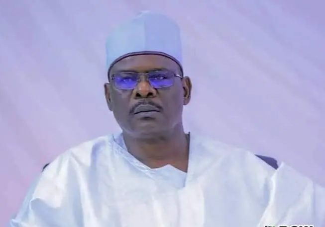 2027: Nigerian Senator Ndume plans to return to NASS for fifth time - Shehu