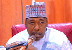 zulum 1 zulum 1